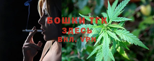 таблы Бородино