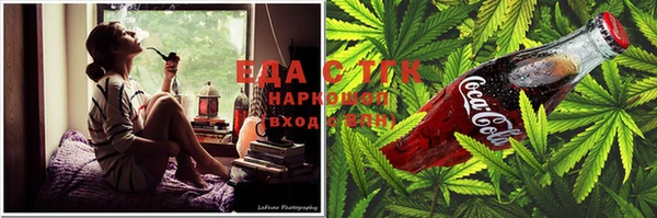 таблы Бородино